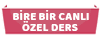 Anlamadığınız Yeri Bire Bir Özel Ders ile Öğrenme İmkanı