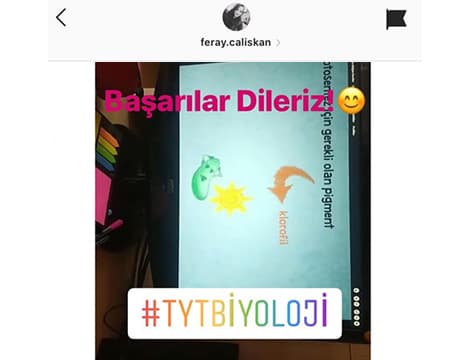 feray.çalışkan