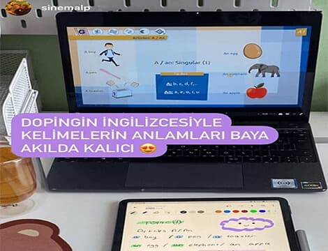 sinemalp