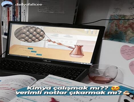 dailyofalicee