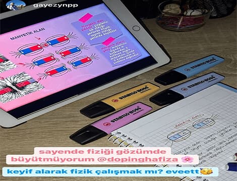 gayezynpp