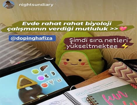 nightsundiary