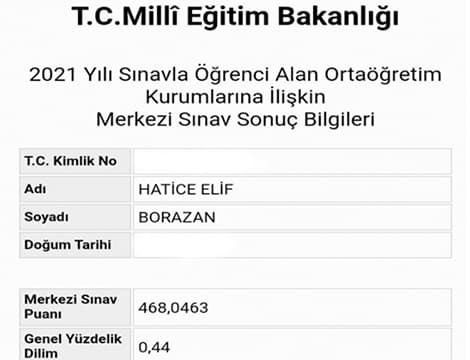 Hatice Elif BORAZAN