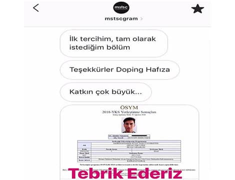 mstsegram