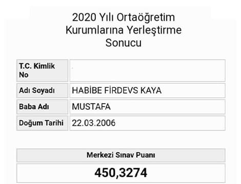 Habibe Firdevs KAYA