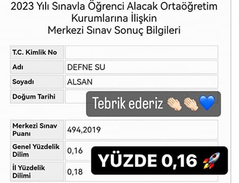 Defne Su Alsan