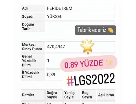 Feride İrem Yüksel