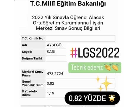 Ayşegül Sarı