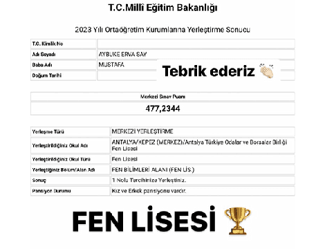 Aybuke Erva Say