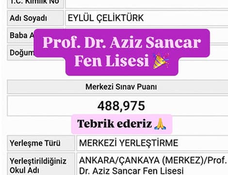 Eylül Çeliktürk