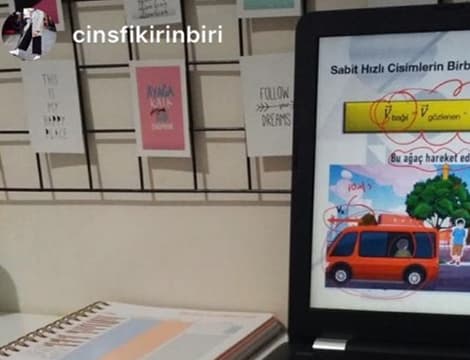 cinsfikirininbiri