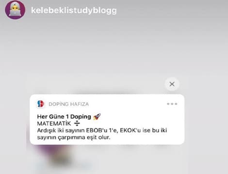 kelebeklistudyblogg
